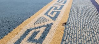 🔵🟠 Alfombra 2,75*1,90 Galicia - León