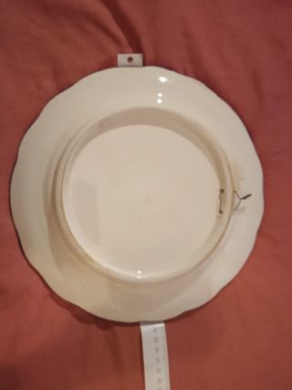Plato de pared de cerámica