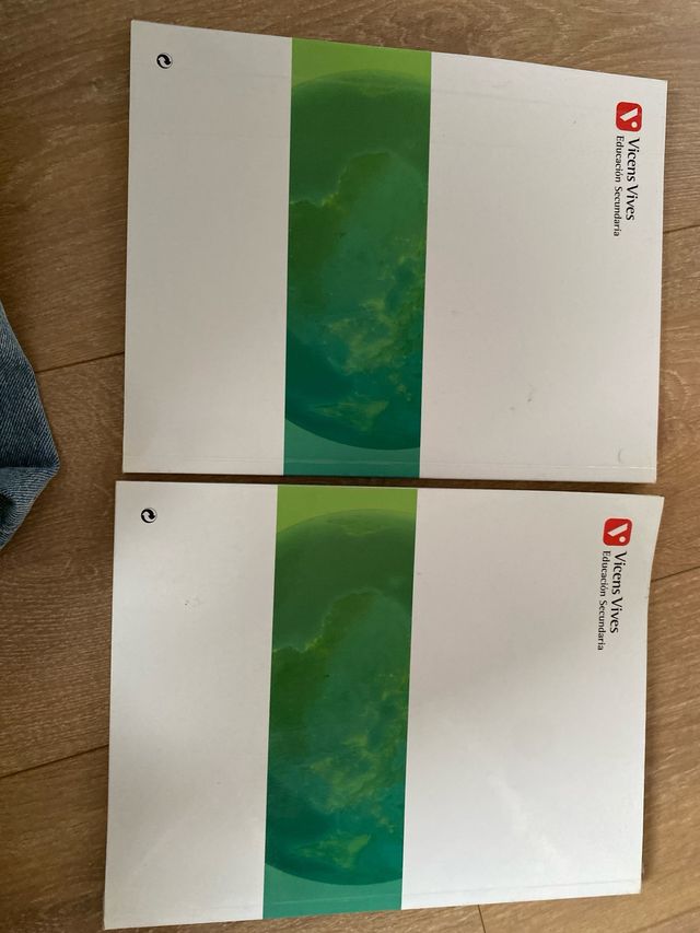 Libros Historia 4Eso Vicens vives