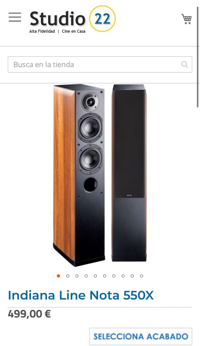 pareja Antavoces INDIANA LINE NOTA550 Profesional.