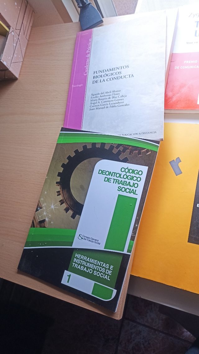 Lote libros trabajo social
