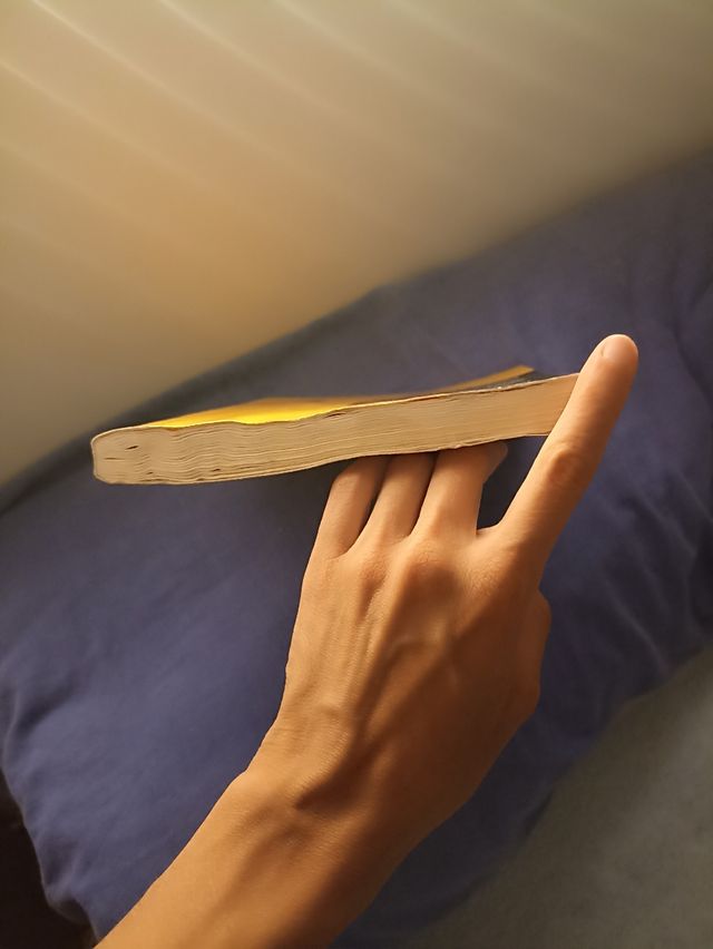 Lote libros trabajo social