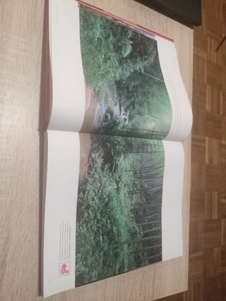 China: Personas,Lugares,Cultura,Historia