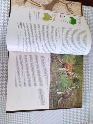 Enciclopedia Fauna Animales Salvat