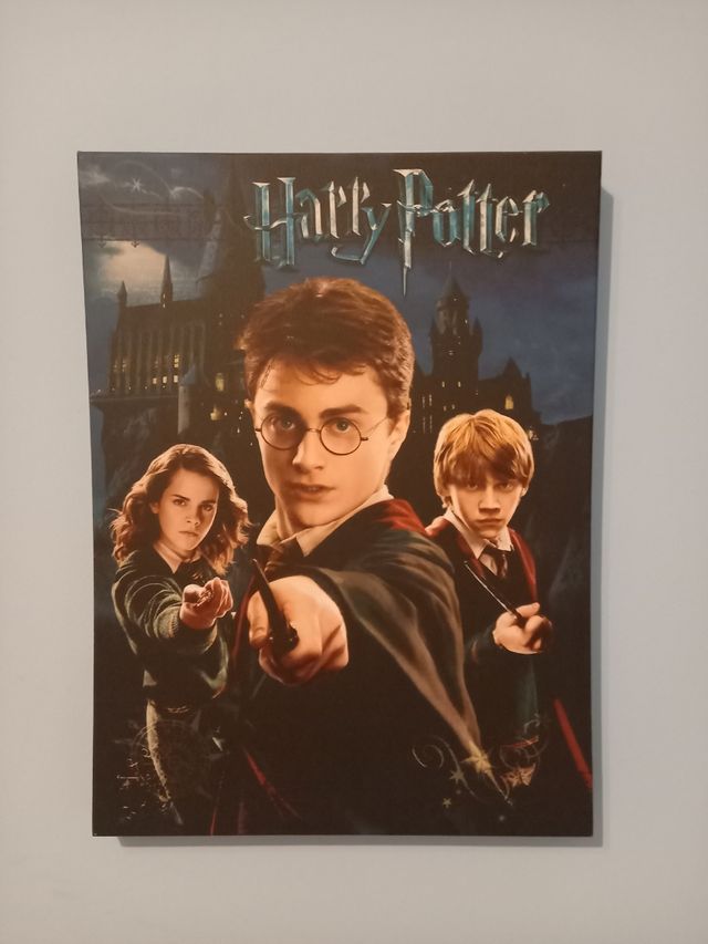 Lienzo Harry Potter