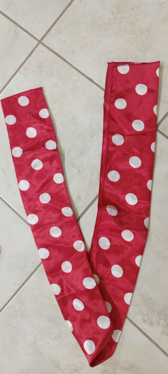 Completo Minnie Carnevale o festa a tema