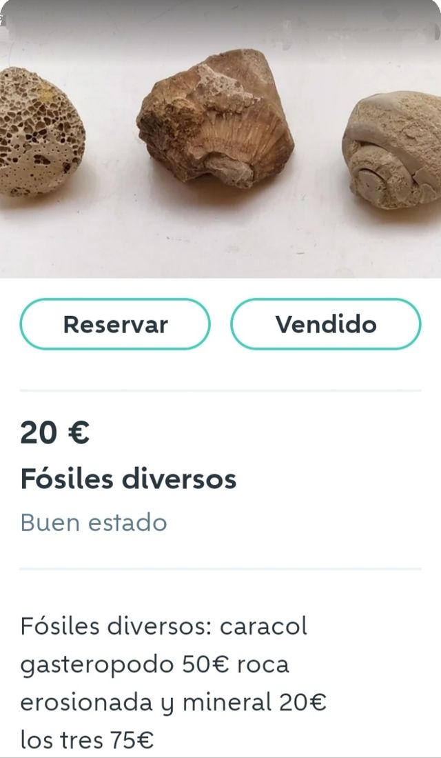 Elite compresor oxigeno acuario y noria giratoria