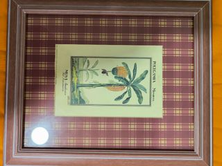 Quadros com motivos botânicos