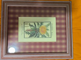 Quadros com motivos botânicos