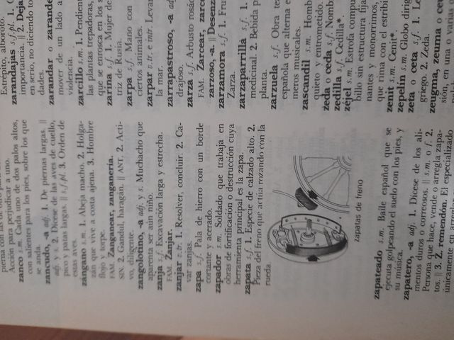 DICCIONARIO ANAYA LENGUA ESPAÑOLA