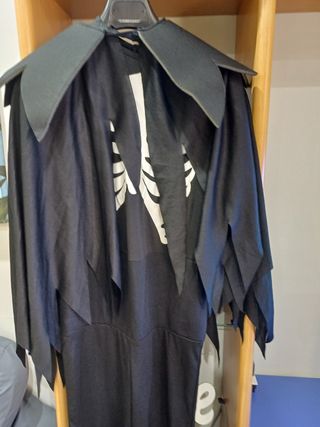 Costume di carnevale