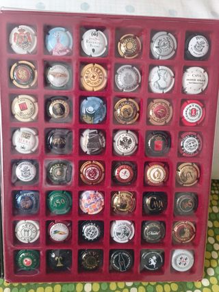 Chapas Cava (mínimo hace 20 años)