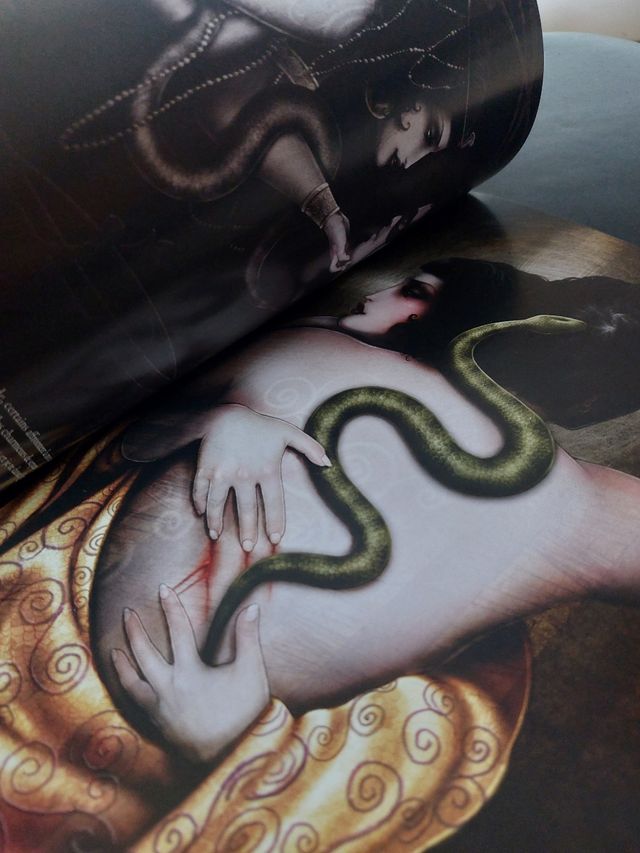 Libro di illustrazioni per cabaret