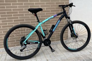 Bicicleta Bianchi duel