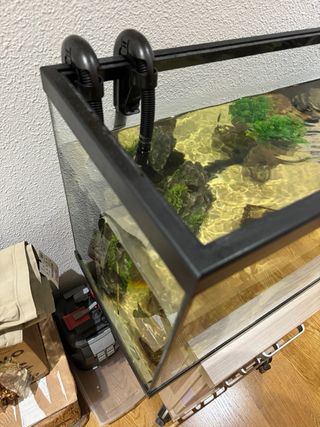 acuario 80 litros