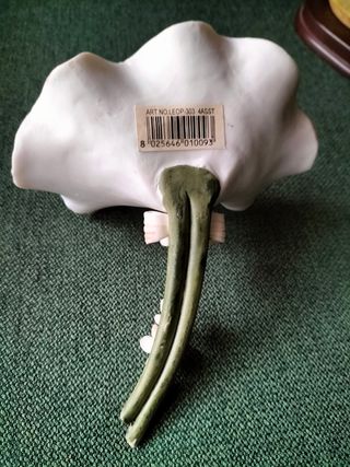 Due eleganti soprammobili ( prezzo trattabile)