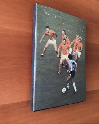 Quadro di Maradona