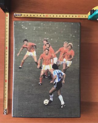 Quadro di Maradona