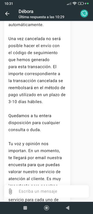 Disfraz muñeca