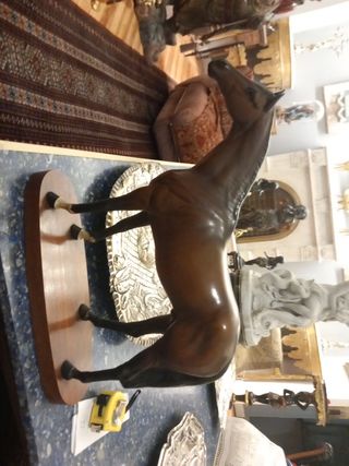 Caballos