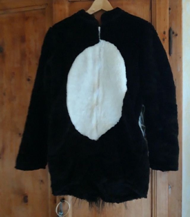 Vestito per carnevale