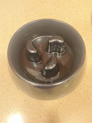 Comedero antivoracidad color negro