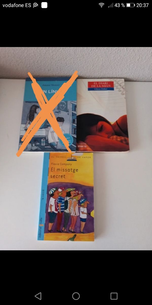 Libros lectura valenciano