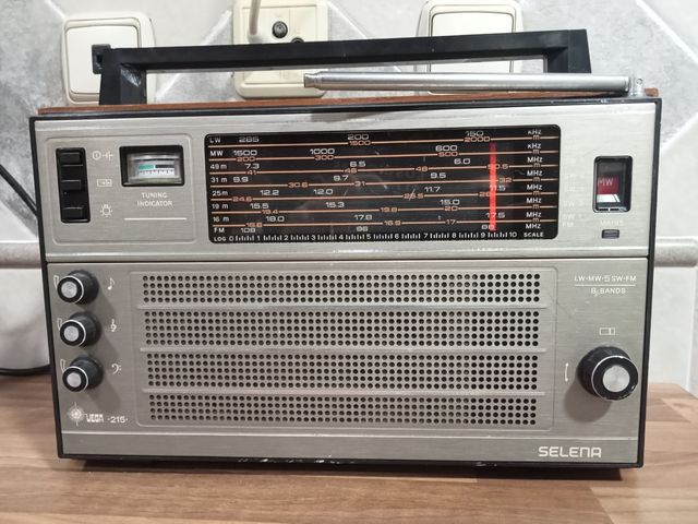 Radio Selena Vega 215