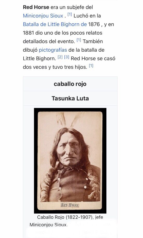 Escultura vintage del jefe "Caballo Rojo".