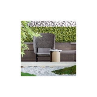 JARDIN VERTICAL SINICA (1M2) BONERVA