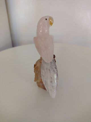 Pappagallo in quarzo rosa