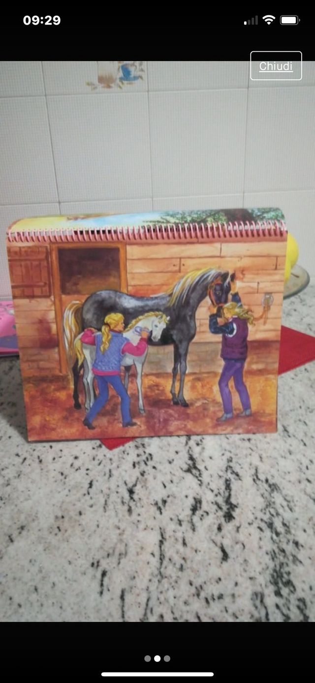 libro princess top cavalli