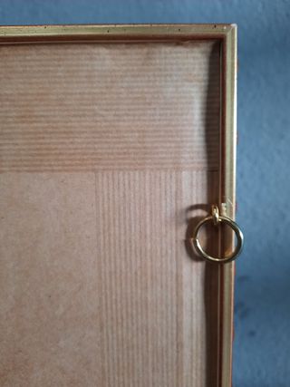 Vitrina para colecciones