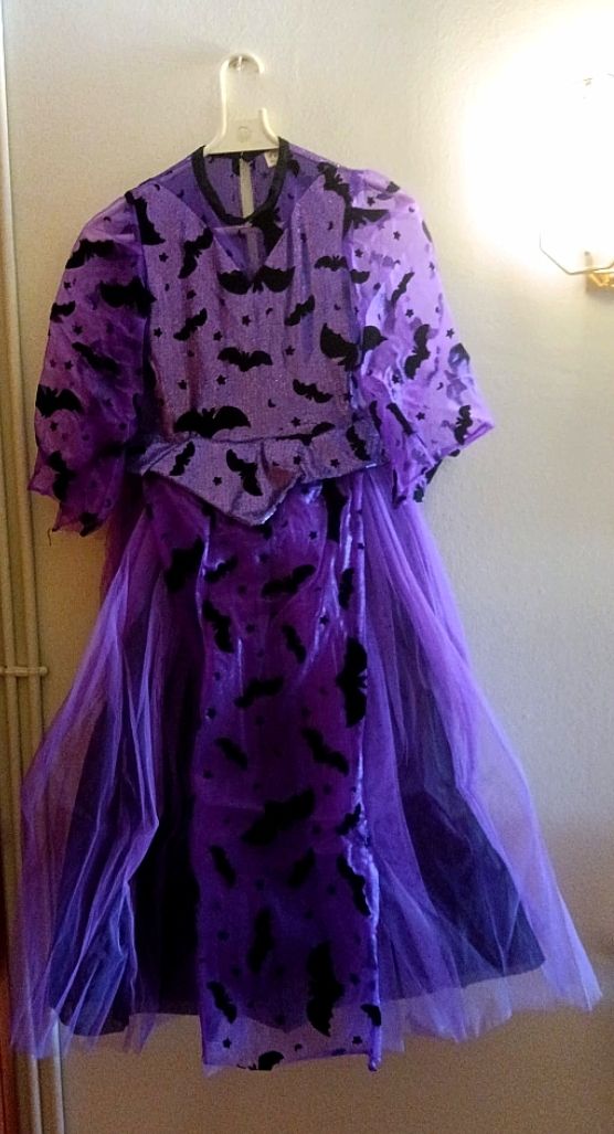 Disfraz Bruja con sombrero