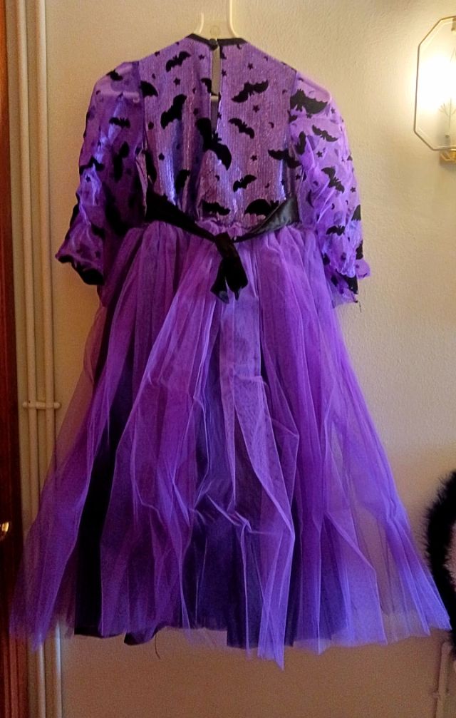 Disfraz Bruja con sombrero