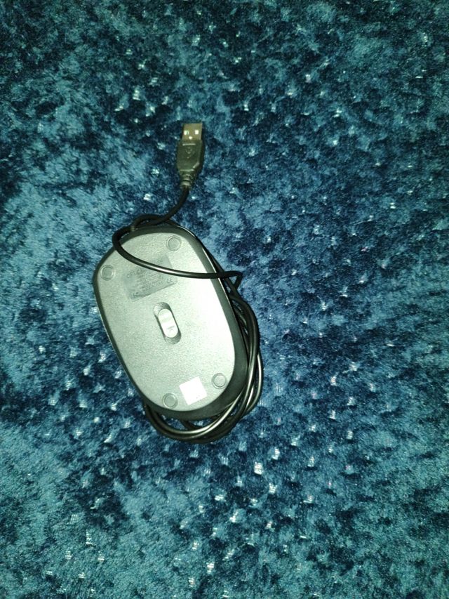 Raton de oficina