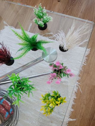 Plantas pecera 3 plantitas por 5€, 1 planta por 2€