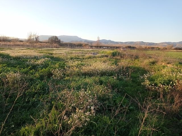 Terreno en venta