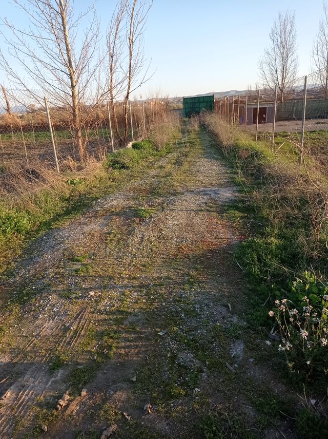 Terreno en venta