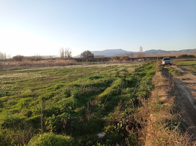 Terreno en venta