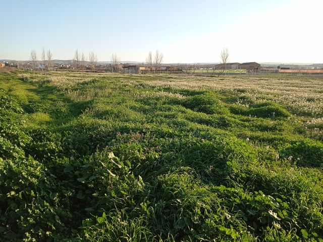 Terreno en venta