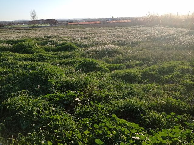 Terreno en venta