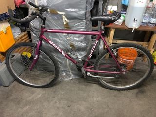 Mountain Bike viola