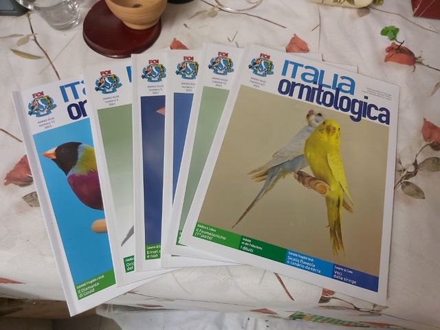 15 giornali rivista Italia Ornitologica