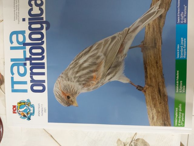 15 giornali rivista Italia Ornitologica