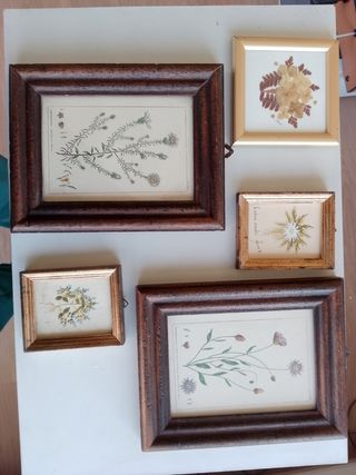 Set di 5 quadretti con stampe e dipinti floreali