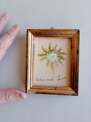 Set di 5 quadretti con stampe e dipinti floreali