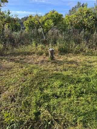 jardinero , desbrozado  , limpieza de bosque