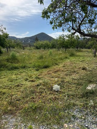 jardinero , desbrozado  , limpieza de bosque