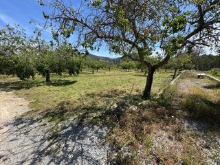 jardinero , desbrozado  , limpieza de bosque